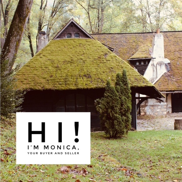 Smoke Free, Dog Friendly Closet - Picture 2 of 7